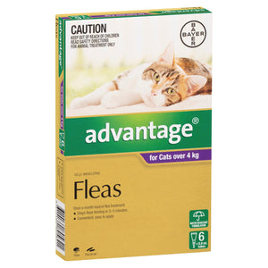 Advantage Cat Flea, & Worming Treatments Default Advantage Cat Over 4Kg 6 Pack