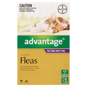 Advantage Cat Flea, & Worming Treatments Default Advantage Cat Over 4Kg 6 Pack