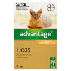 Advantage Cat Flea, & Worming Treatments Default Advantage Cat Up To 4Kg 6 Pack