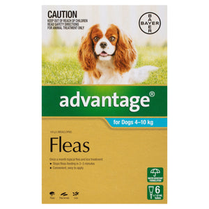 Advantage Dog Flea,Tick & Worming Treatments Advantage Dog Med 4-10Kg 6 Pack