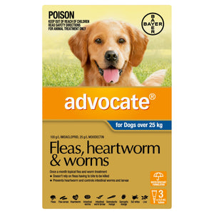 Advocate Dog Flea,Tick & Worming Treatments Advocate Dog Large 25kg+ 3 pack