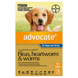 Advocate Dog Flea,Tick & Worming Treatments Advocate Dog Large 25kg+ 6 pack