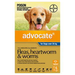 Advocate Dog Flea,Tick & Worming Treatments Advocate Dog Large 25kg+ 6 pack