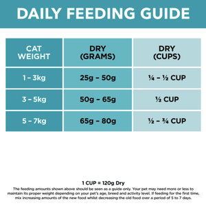 Ivory Coat Cat Dry Food Ivory Coat Grain Free Cat Ocean Fish & Salmon 2kg