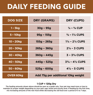 Ivory Coat Dog Dry Food Ivory Coat Grain Free Dog Lamb & Kangaroo 13kg