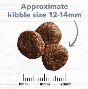 Ivory Coat Dog Dry Food Ivory Coat Grain Free Lamb and Sardine 13kg