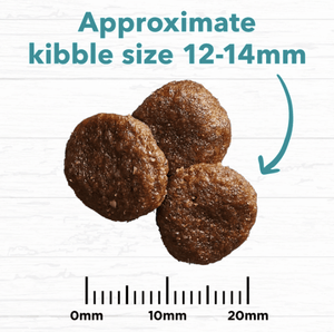 Ivory Coat Dog Dry Food Ivory Coat Grain Free Ocean Fish & Salmon 13kg