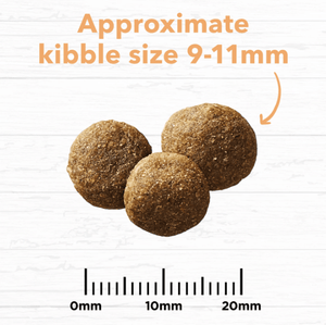 Ivory Coat Dog Dry Food Ivory Coat Grain Free Puppy Chicken 13kg