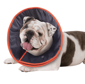 Kazoo Dog Collars, Leads & Harnesses Kazoo Recovery Collar Extra Large