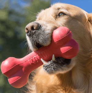 Kong Dog Toy Kong Goodie Bone Small