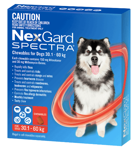 Nexgard Spectra Dog Flea,Tick & Worming Treatments Nexgard Spectra Red 30.1-60kg Dogs 6 pack