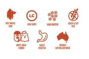 Proudi Dog Raw Food Proudi Dog Turkey & Chicken 2.4kg