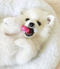 Nylabone Gentle Puppy Teething Dental Chew X-Small