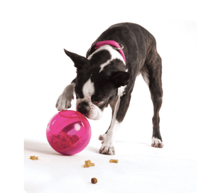 Rogz Dog Toy Default Rogz Tumbler Treat Dispenser Pink