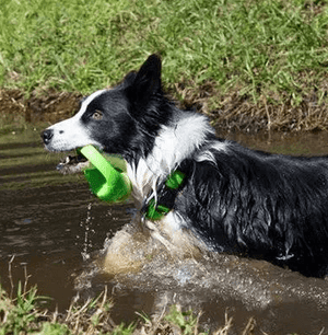 Rogz Dog Toy Pop-Upz Fetch Toy Lime S/M