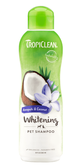 Tropiclean Dog Shampoo & Conditioners TropiClean Awapuhi & Coconut Whitening Dog & Cat Shampoo 20oz