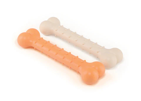 Kazoo Chew N Shine Nylon Bone Salmon