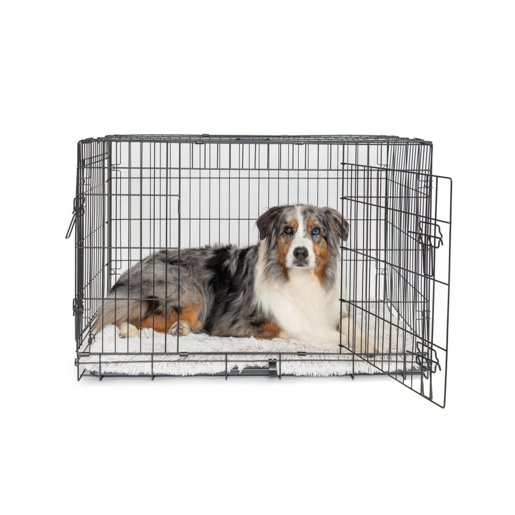 Extra Large Dog Crate 42''