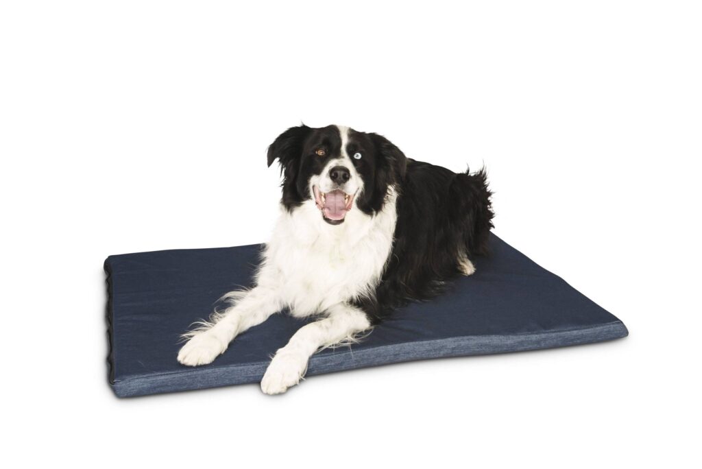 Superior Denim Dog Mat