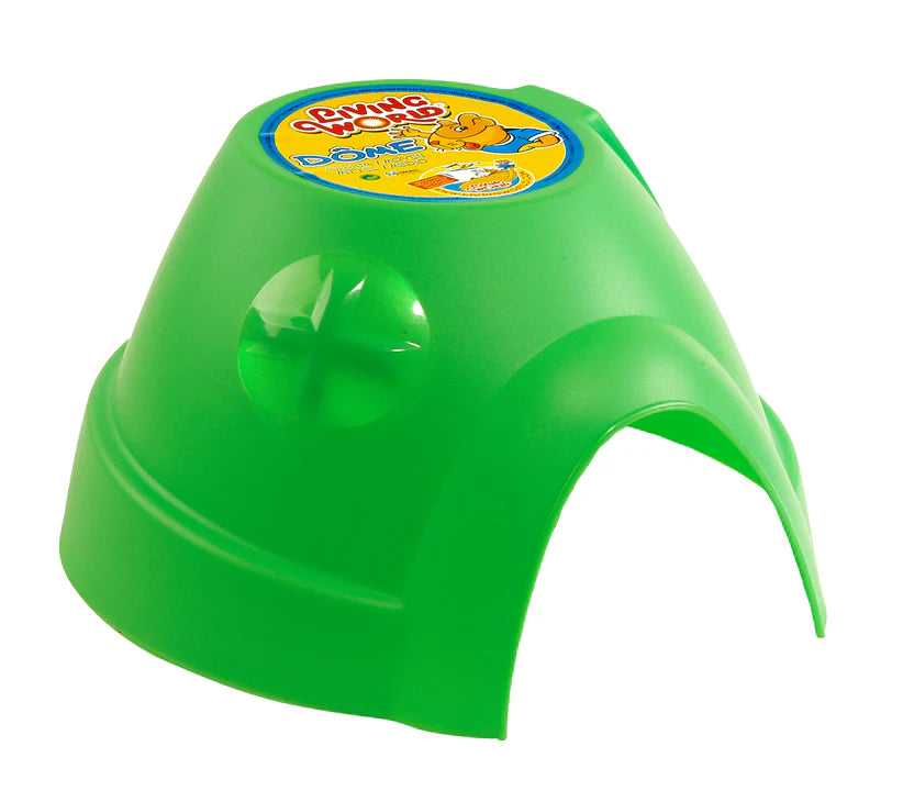 Living World - Igloo Medium