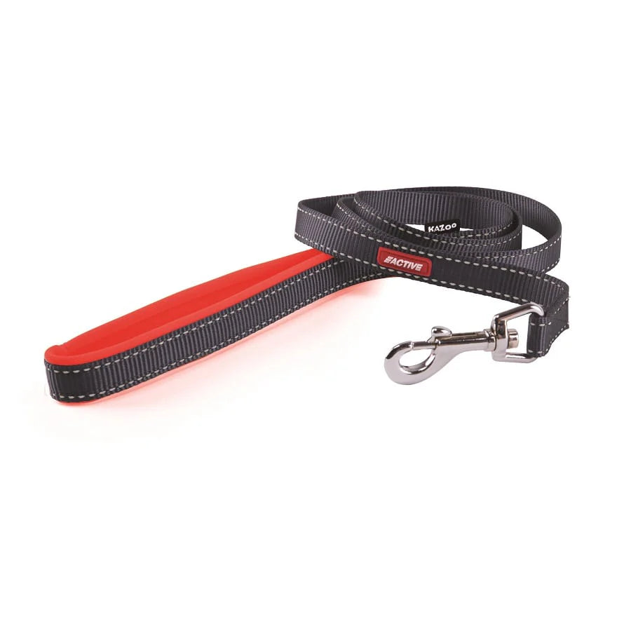 Kazoo Active Nylon Lead Slate Orange