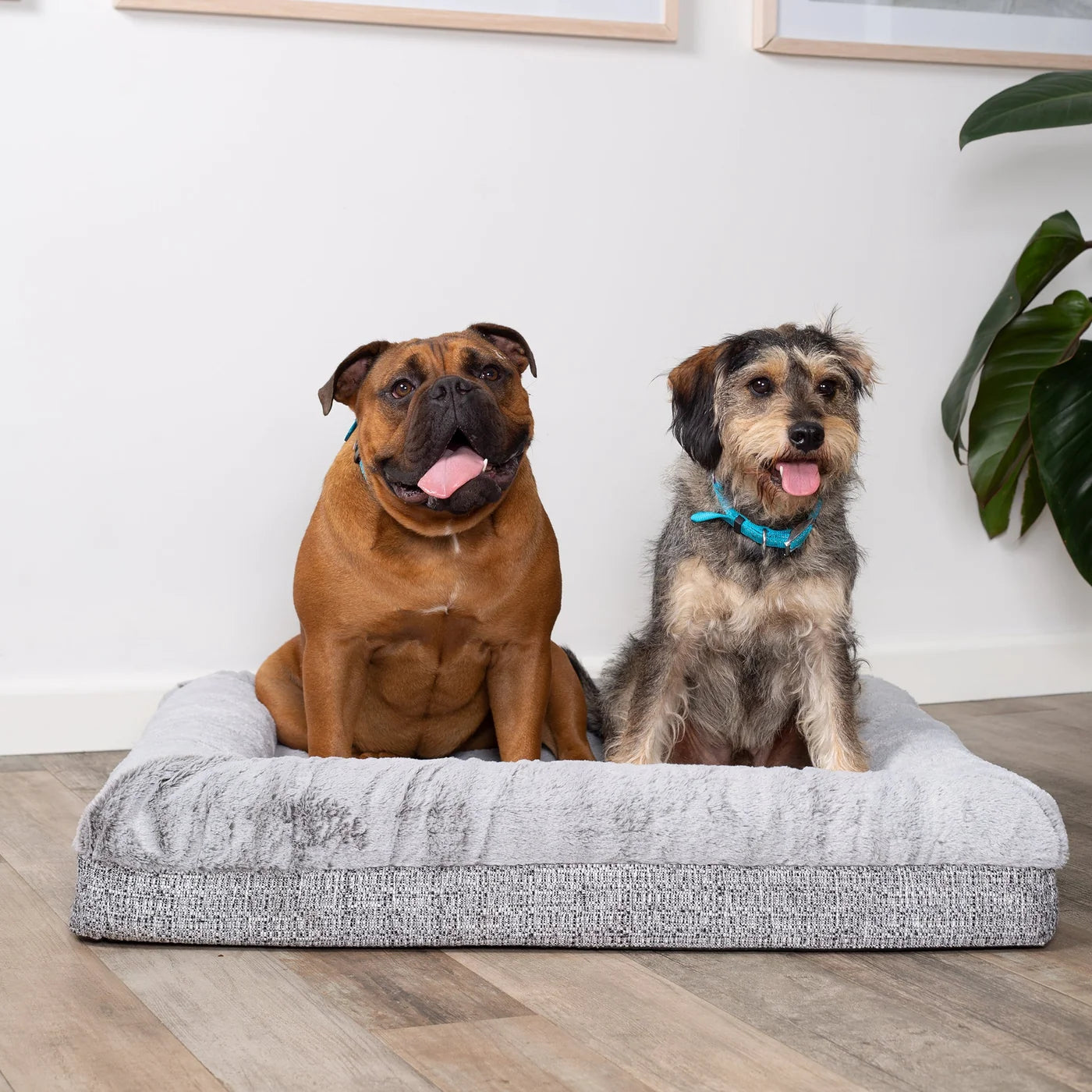 Kazoo Wombat  Plush Grey Dog Bed Large