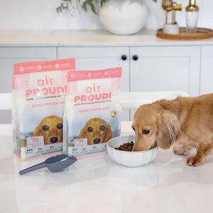 Proudi Single Protein Beef Air Dried - for Dogs 400g