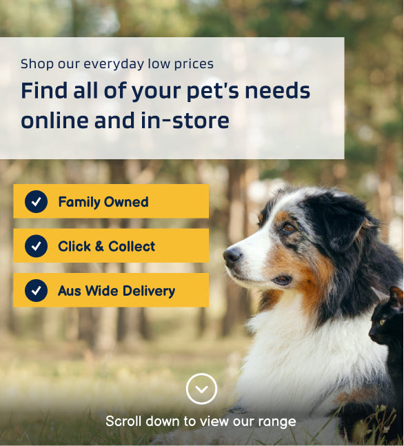 Dog shop clearance online