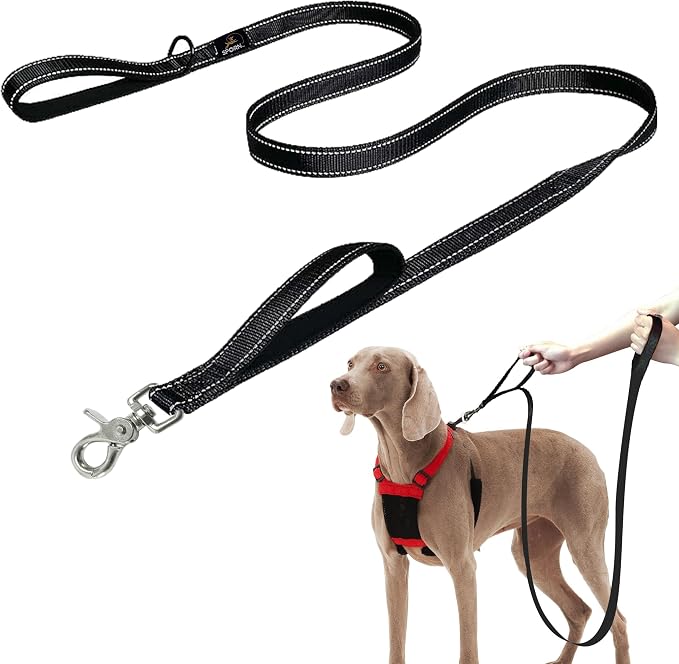 Sporn Large Black Training Leash