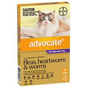 Advocate Cat Flea, & Worming Treatments Advocate Cat Large over 4kg 6 pack