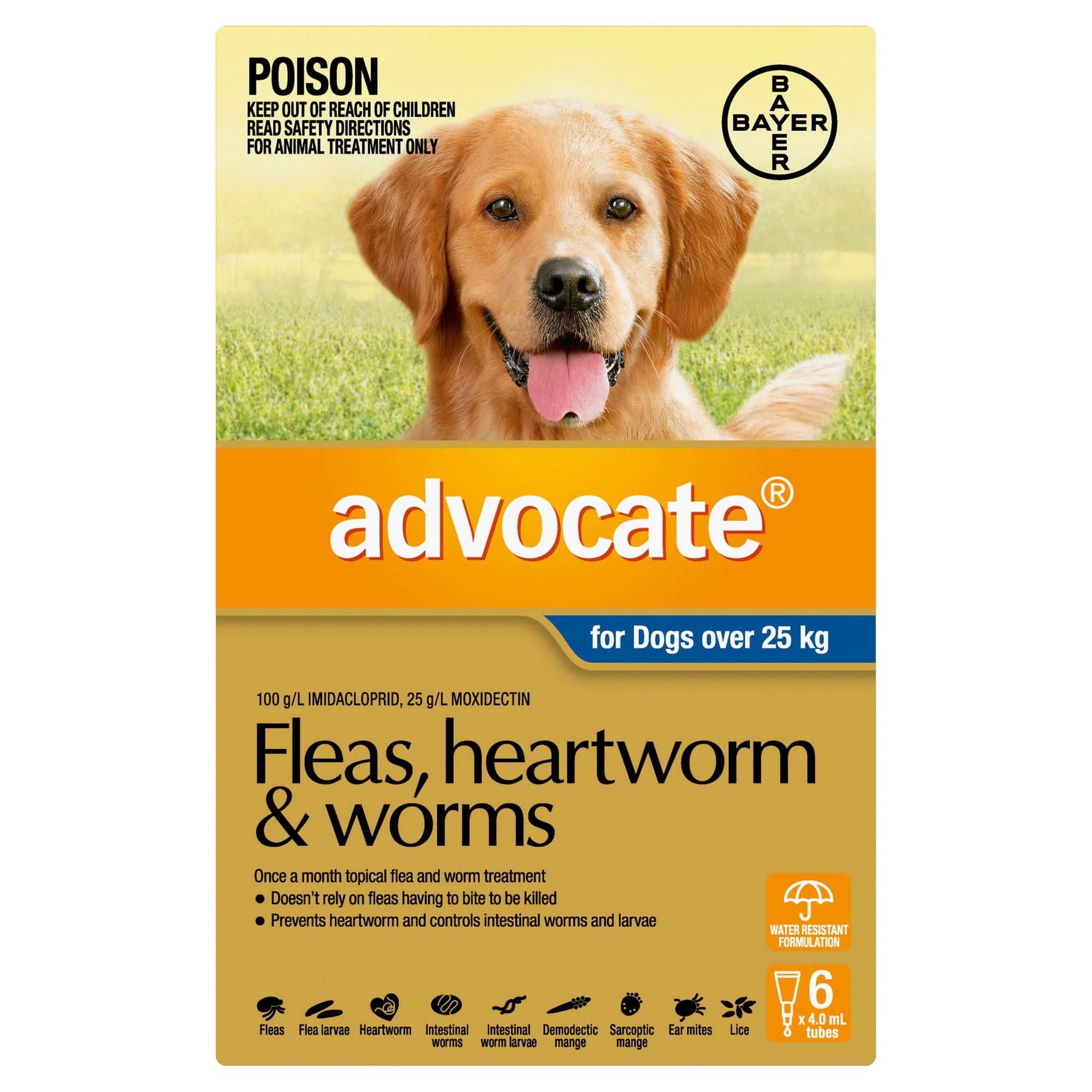 Advocate Dog Flea,Tick & Worming Treatments Advocate Dog Large 25kg+ 6 pack