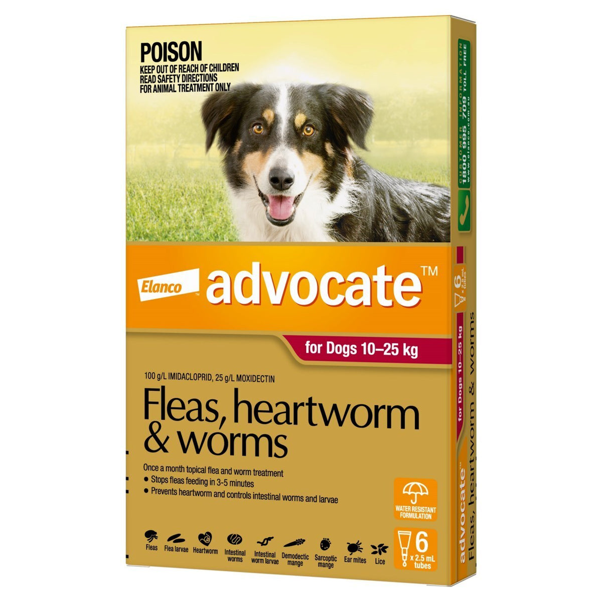Advocate Dog Medium 10-25kg 6 pack