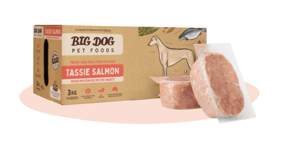 Big Dog Dog Raw Food Big Dog Barf Salmon 3kg (12 x 250g individual patties)