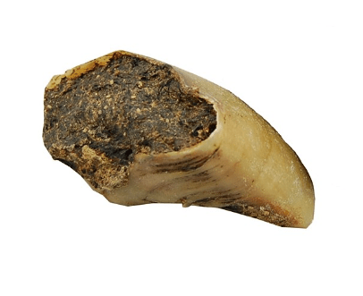 Campbells Dog Treats Cow Hoove Chicken Filled Single