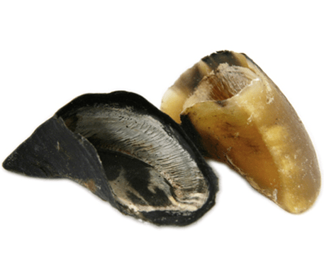 Cow hoof hotsell dog treat