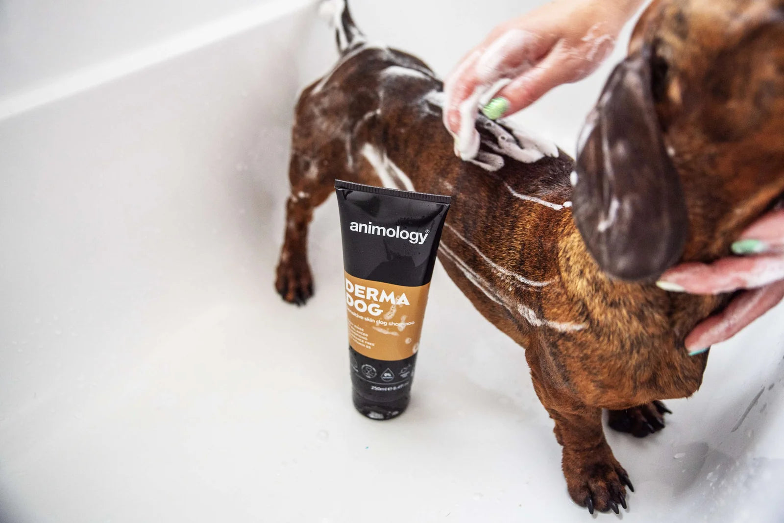 Animology Derma Dog Sensitive Skin Dog Shampoo 250ml