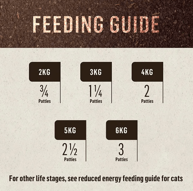 Dr barf cat clearance food