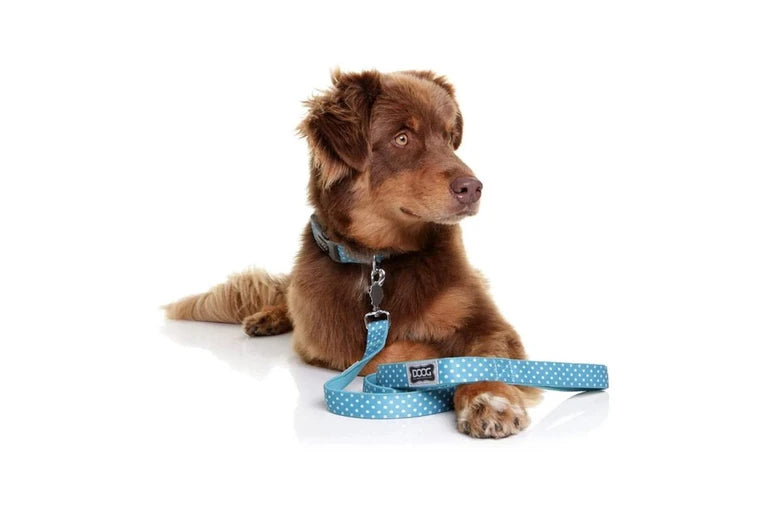 Doog Snoopy Blue Polkadot Dog Lead - Large 130cm