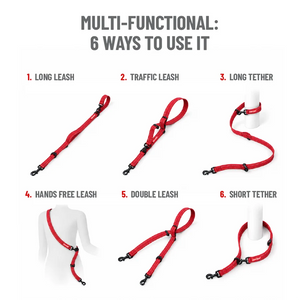Ezydog Vario 6 Multi-Function Leash