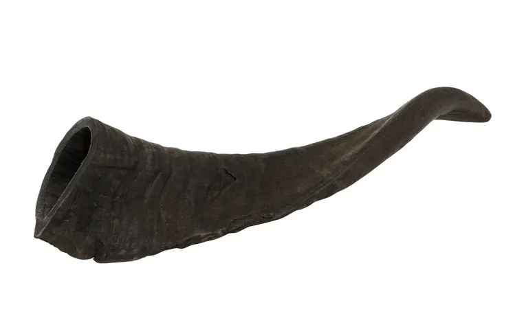 High Country Dog Treats Default Jumbo Goat Horn