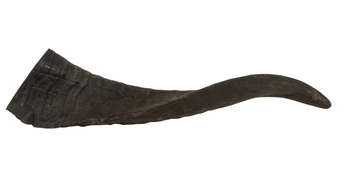 High Country Dog Treats Default Large Goat Horn