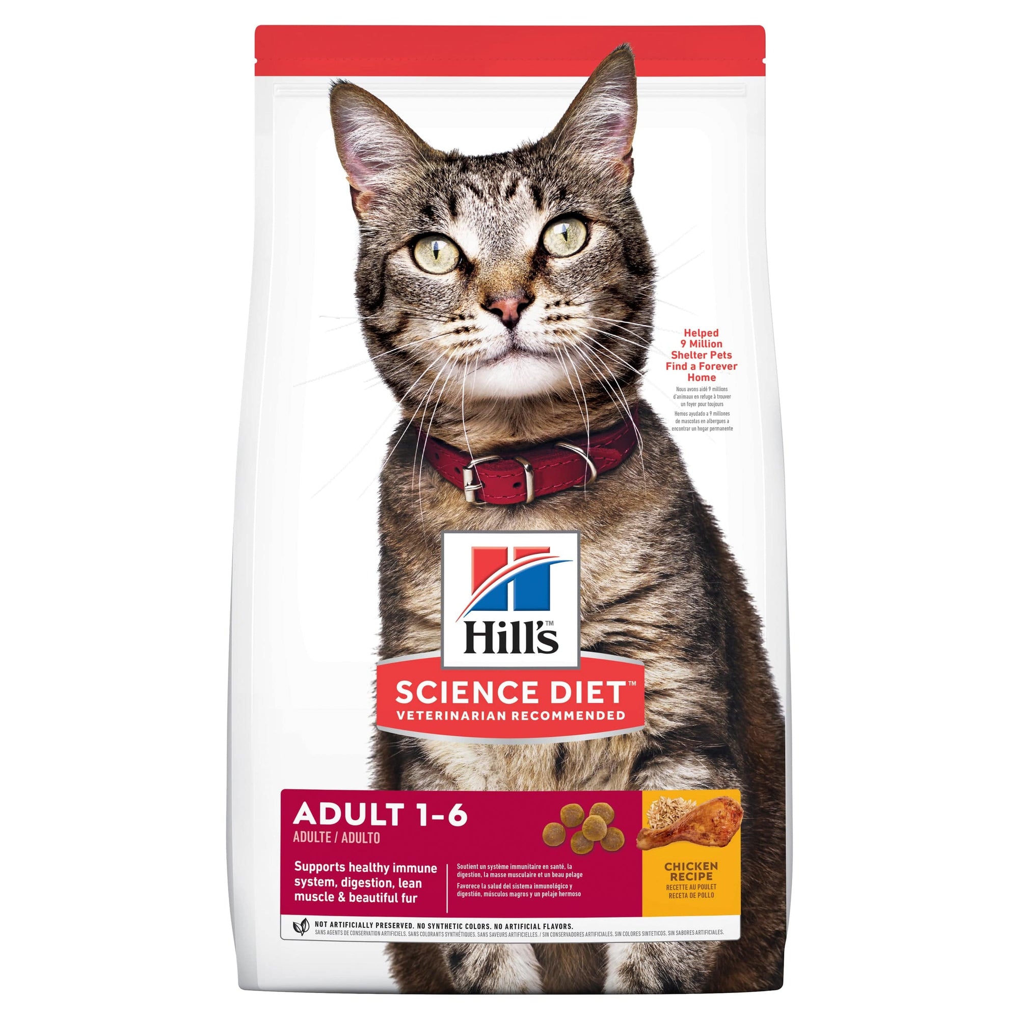Hill's Cat Dry Food Hill's Science Diet Feline Adult 2kg