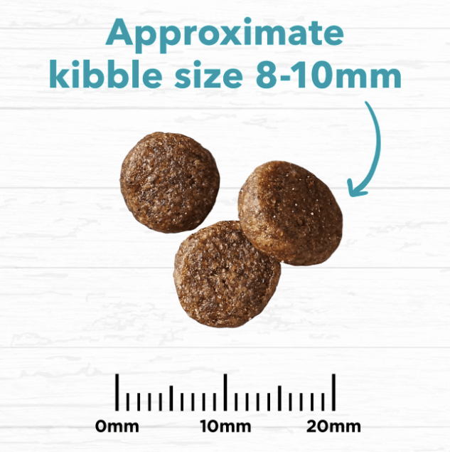 Ivory Coat Cat Dry Food Ivory Coat Grain Free Cat Ocean Fish & Salmon 2kg