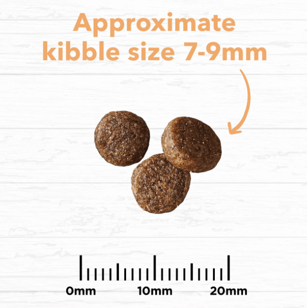 Petbarn sales ivory coat