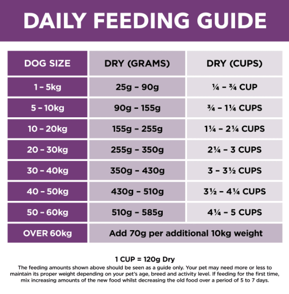 Ivory Coat Dog Dry Food Ivory Coat Dog Grain Free Mature Turkey 2kg