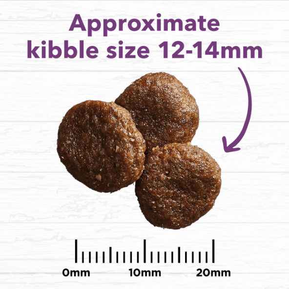 Ivory Coat Dog Dry Food Ivory Coat Dog Grain Free Turkey Mature 13kg