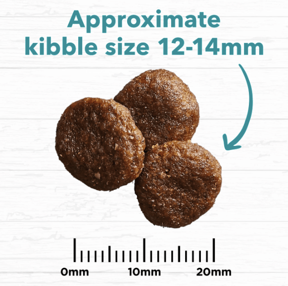 Ivory Coat Dog Dry Food Ivory Coat Grain Free Ocean Fish & Salmon 2kg