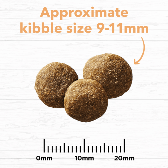 Ivory Coat Dog Dry Food Ivory Coat Grain Free Puppy Chicken 13kg