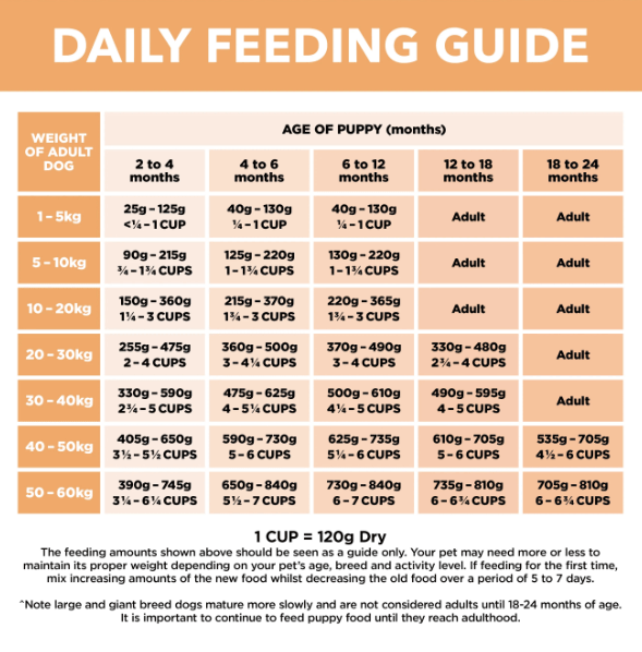 Ivory coat sales puppy chicken 13kg