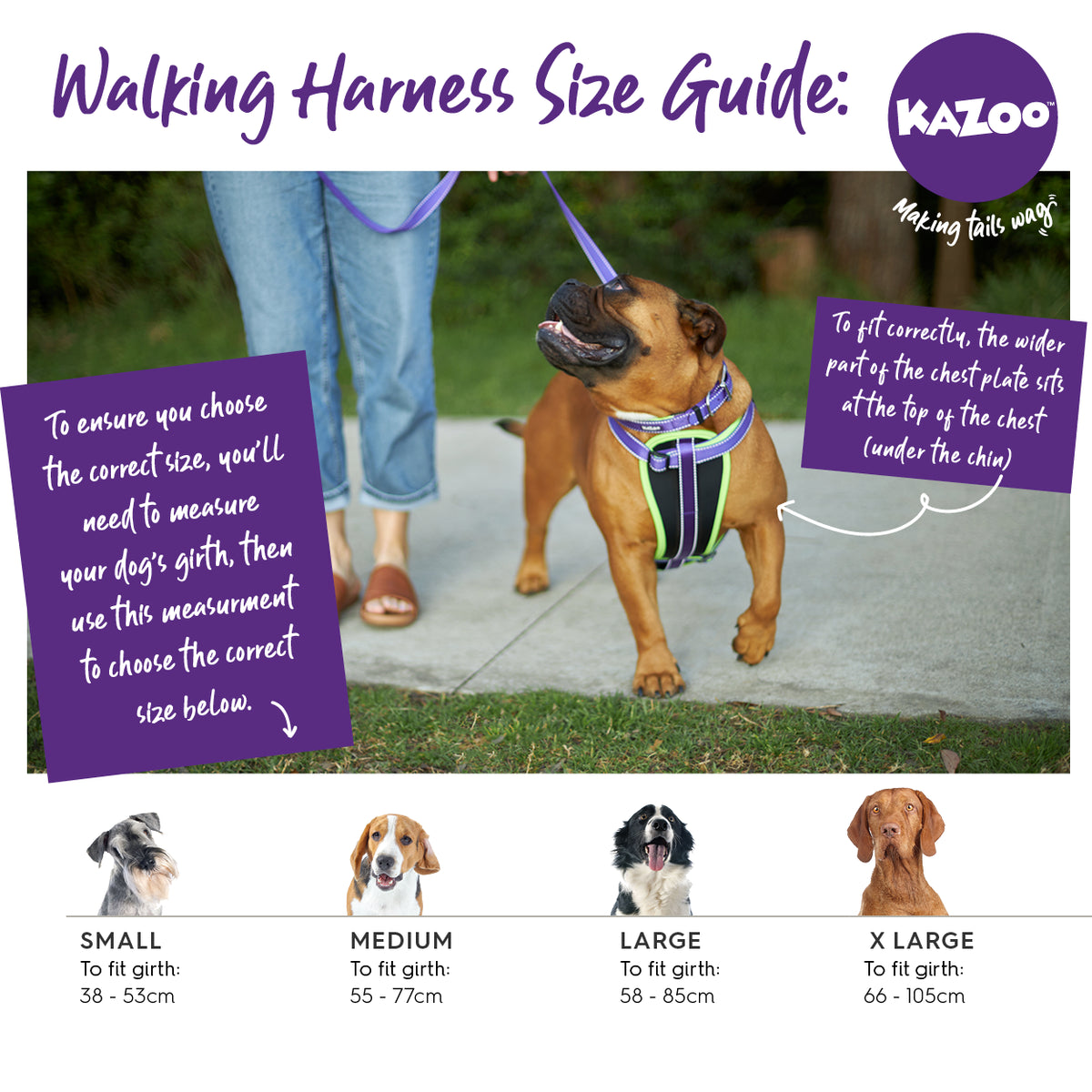 Kazoo Classic Walking Harness Red Large